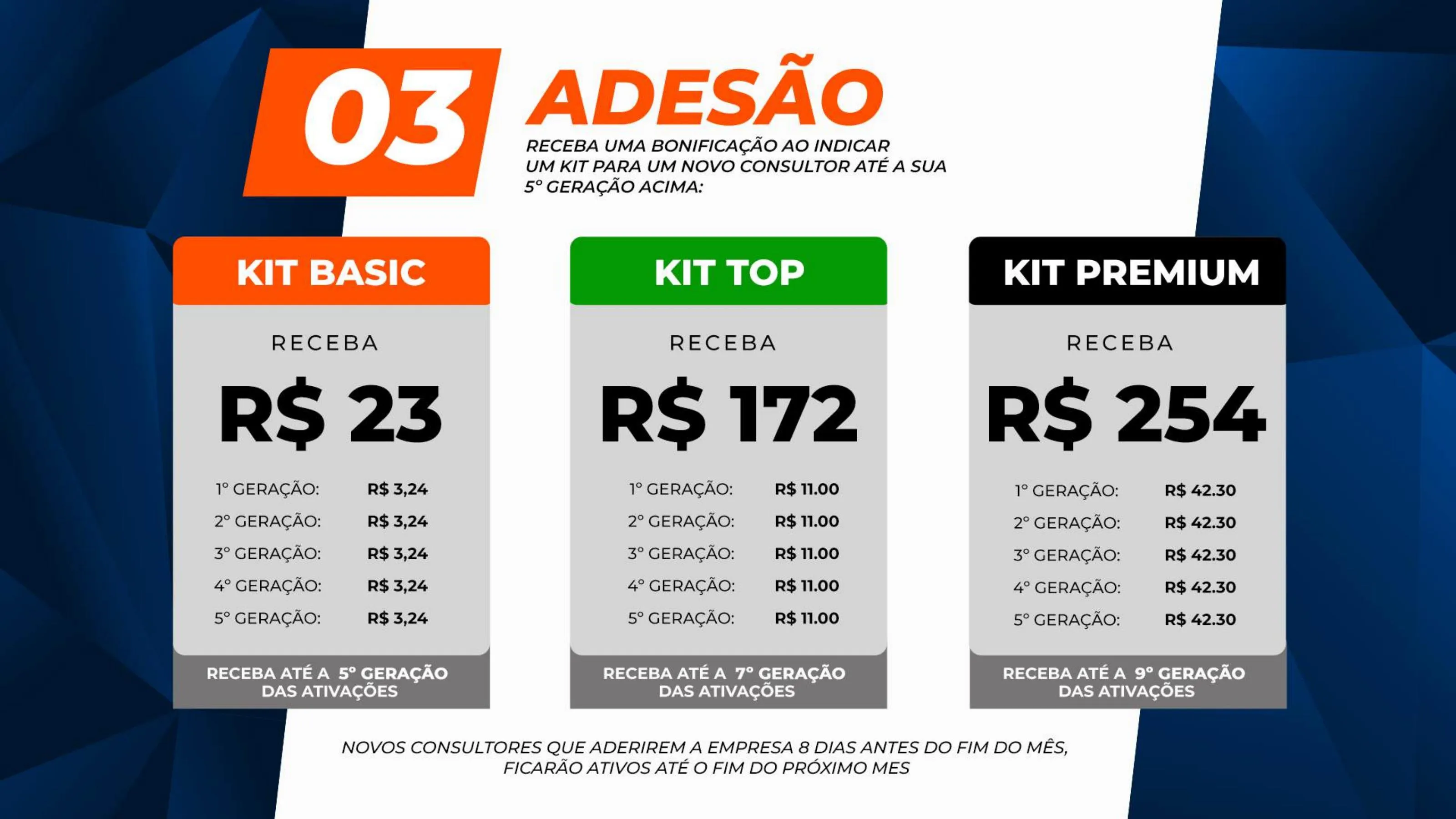 Slide 12 – Plano de Negócios BluAnt