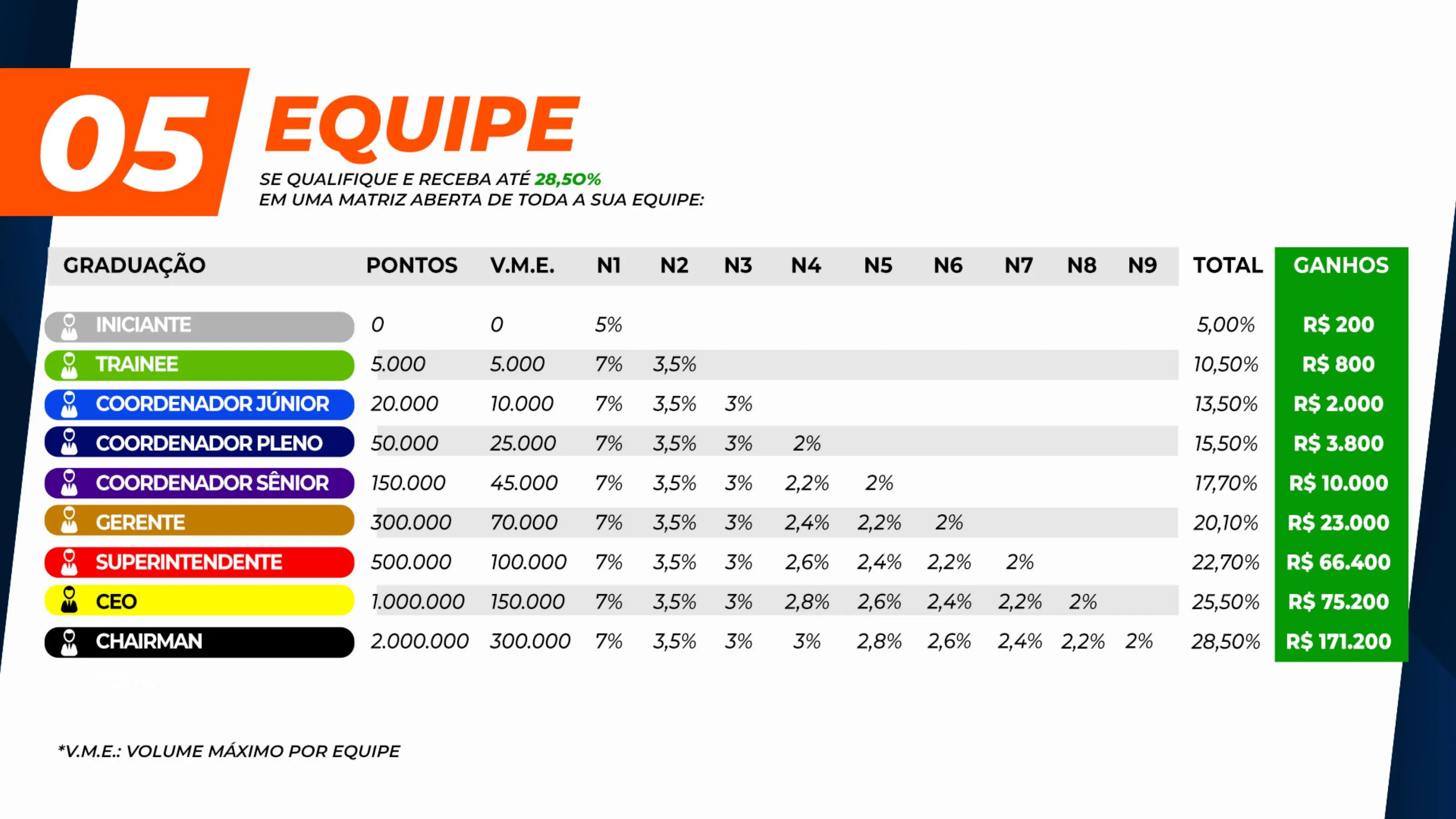 Slide 14 – Plano de Negócios BluAnt